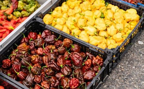 Chilli papričky v mexické kuchyni nesmí chybět