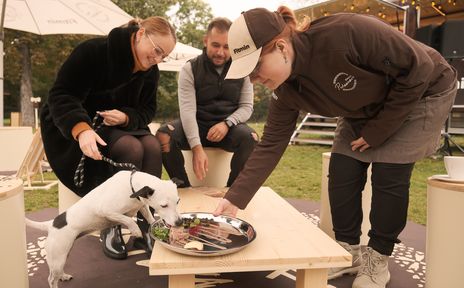 Fitmin - Pestaurace zážitek pro každého psa