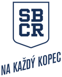 Logo-modre