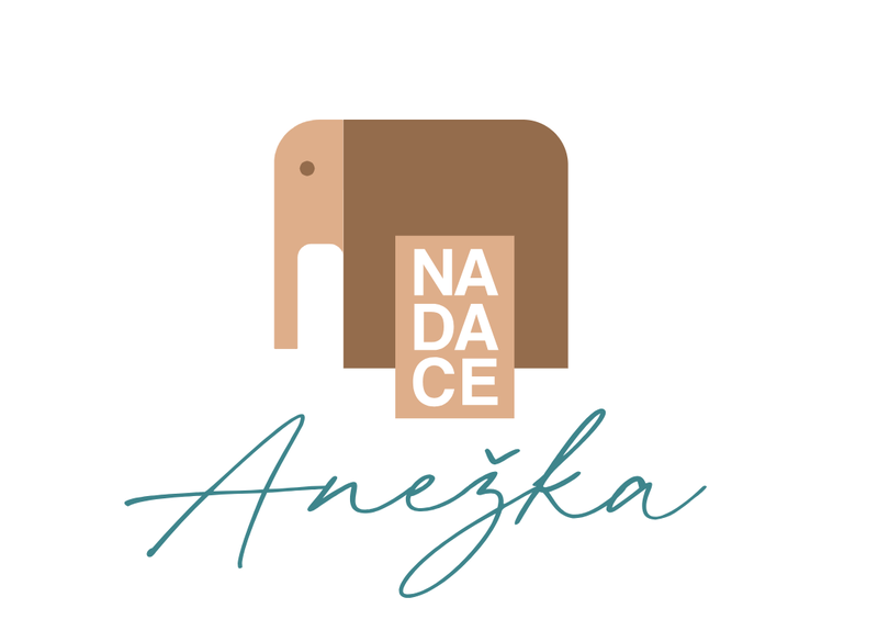 Logo_anezka_nadace