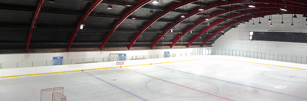 Veřejné bruslení_banner_1